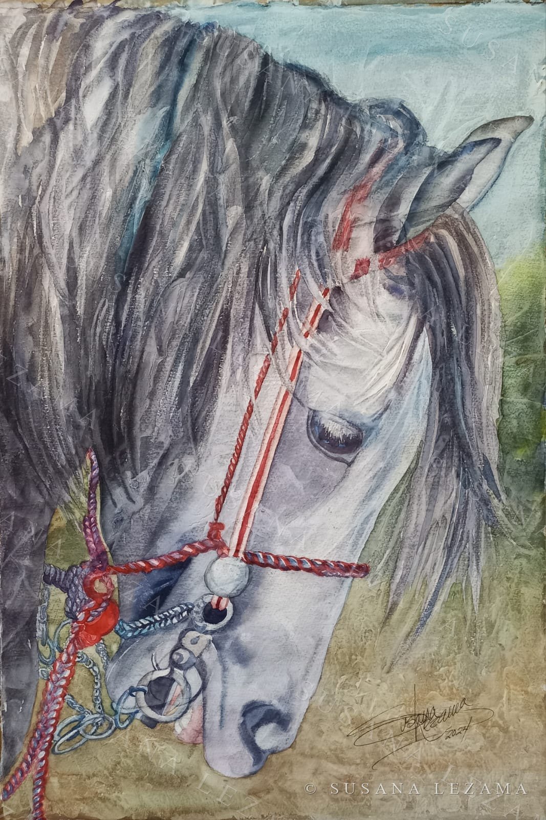 Caballo tordo, acuarela original de la pintora mexicana Susana Lezama