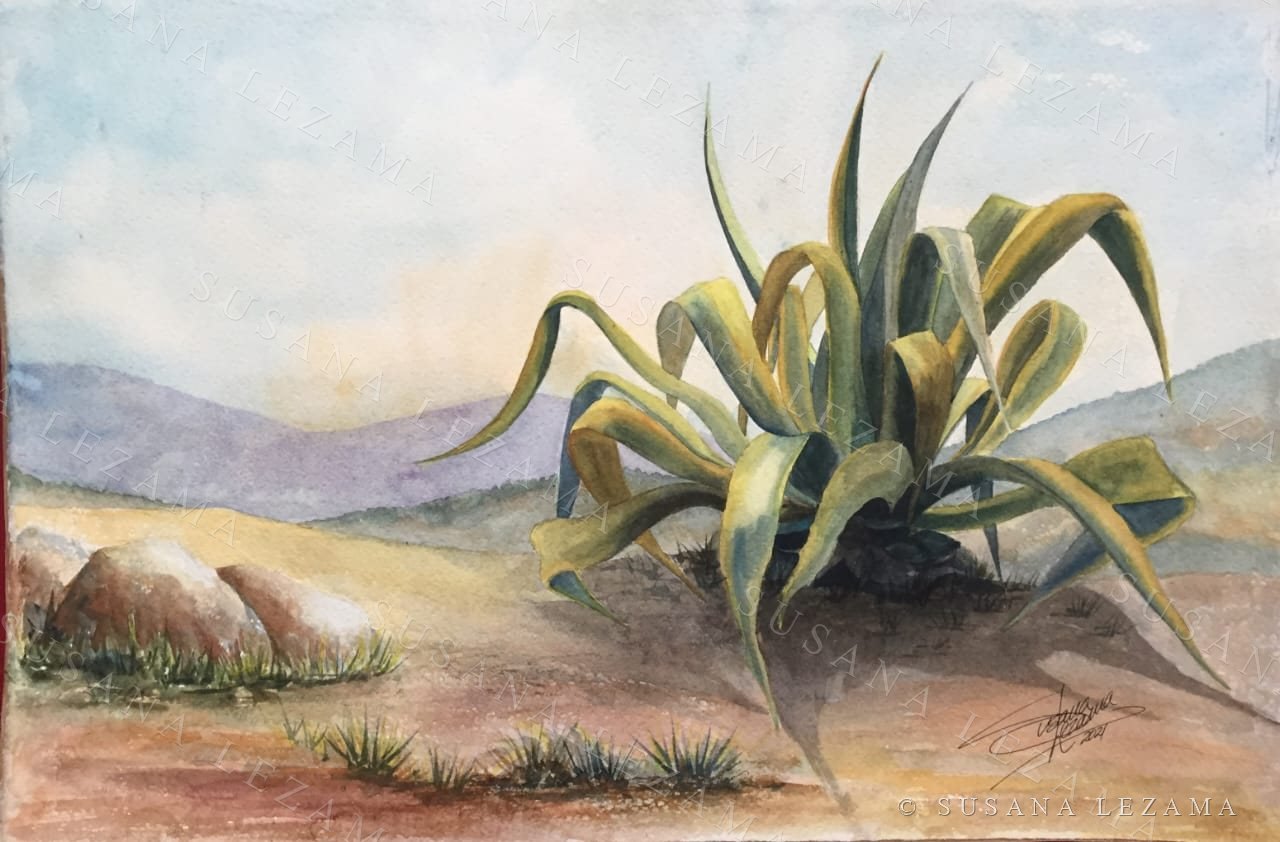 Maguey, acuarela original de la pintora mexicana Susana Lezama