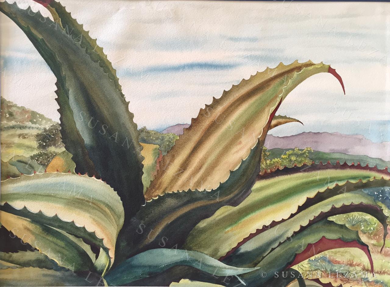 Maguey en el llano, acuarela original de la pintora mexicana Susana Lezama