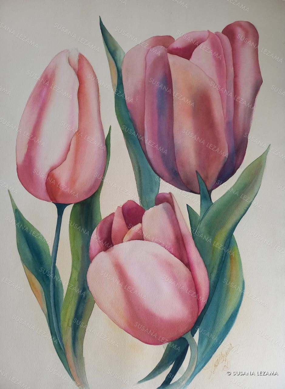 Tulipanes, acuarela original de la pintora mexicana Susana Lezama