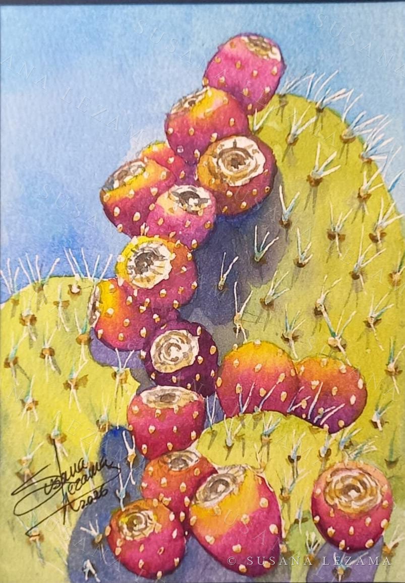 Tunas, acuarela original de la pintora mexicana Susana Lezama