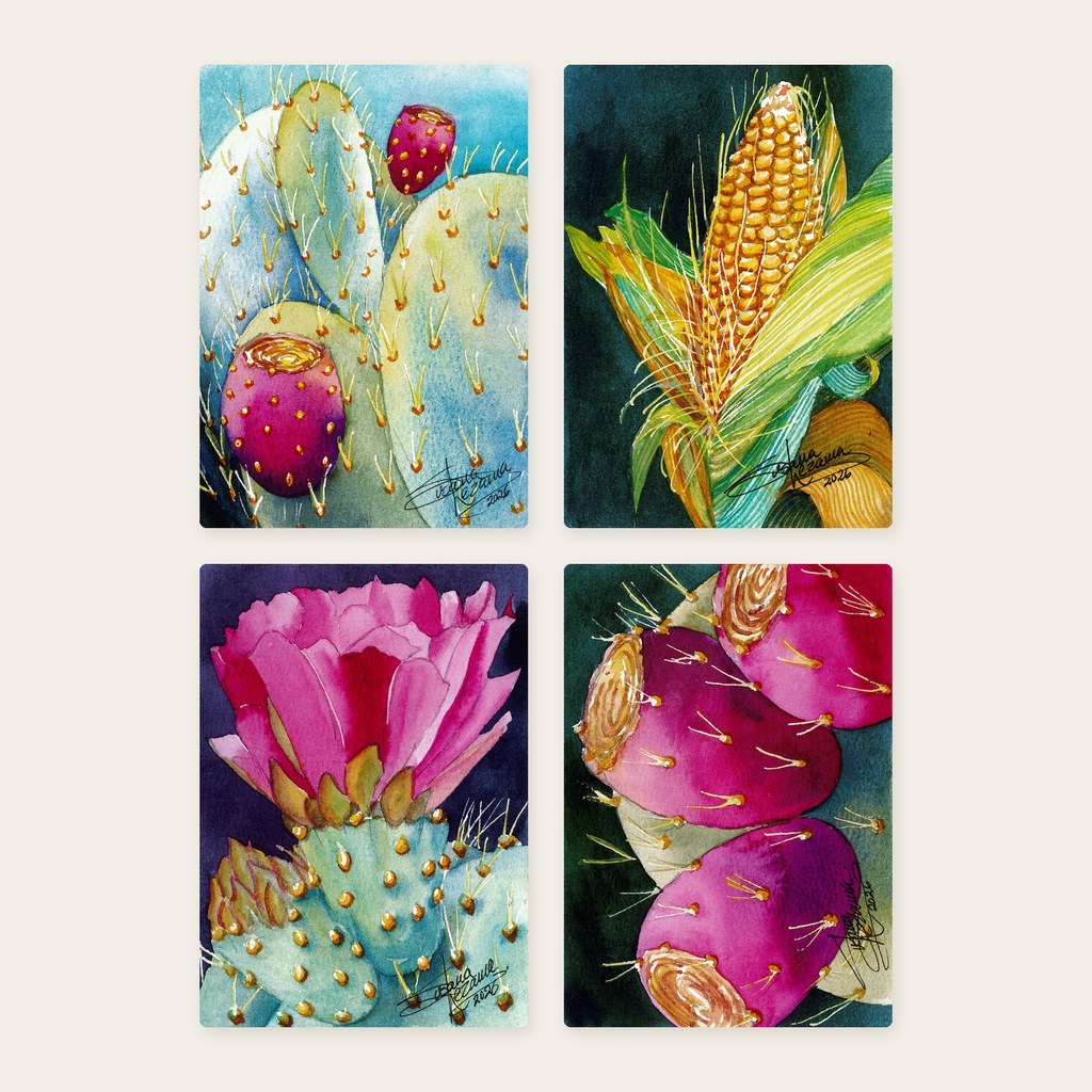 Las cuatro postales de Susana Lezama: nopal con tunas, el elote, flor de nopal y tunas, 10.5 × 14.8 cm